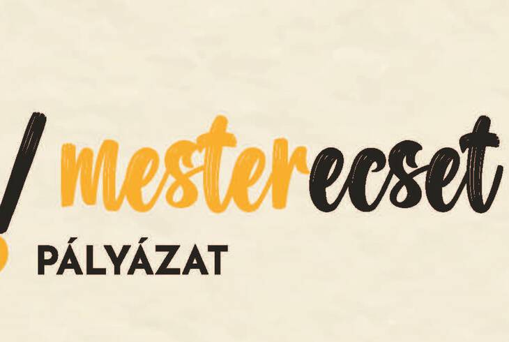 Mesterecset plyzat